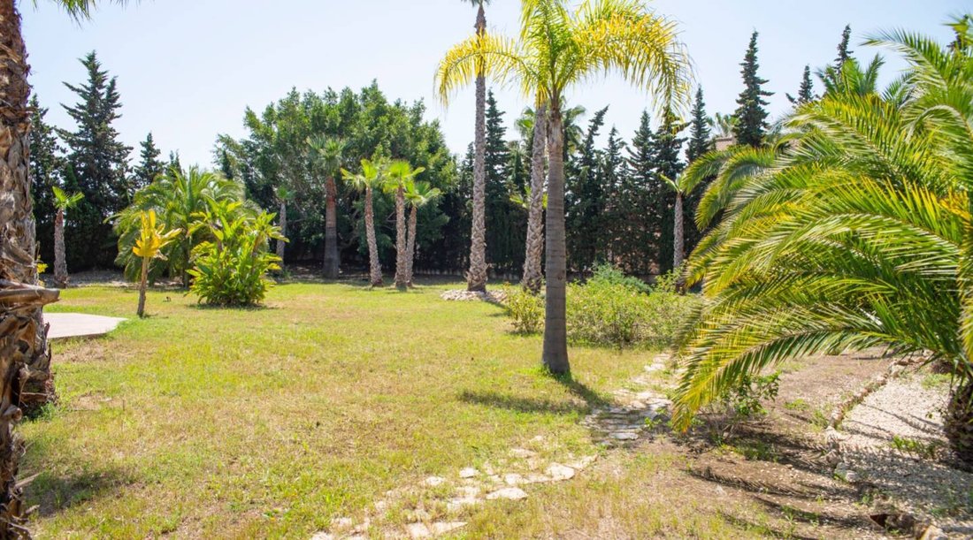 Villa in Ciudad Quesada, Rojales, Valencian Community 5 - 13213733