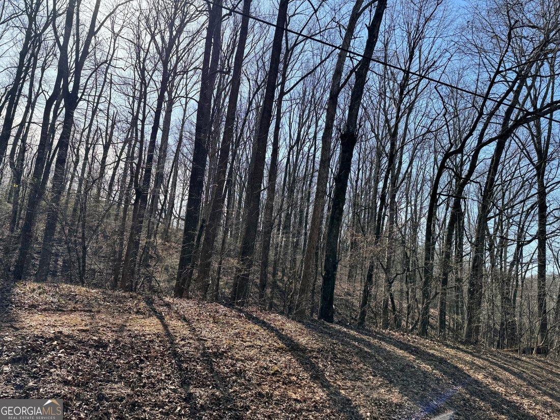 Land in Winder, Georgia, United States 1 - 15521620
