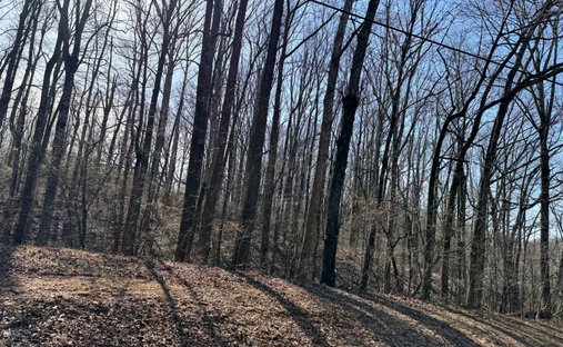 Land in Winder, Georgia, United States 1