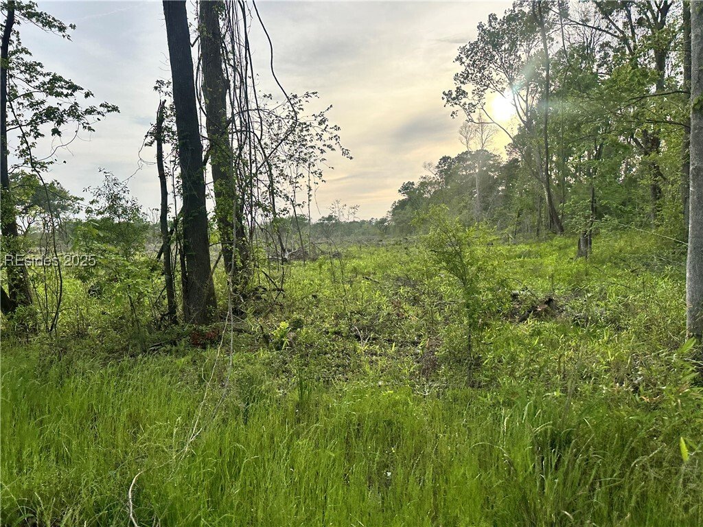 Land in Ridgeland, South Carolina, United States 1 - 15520407