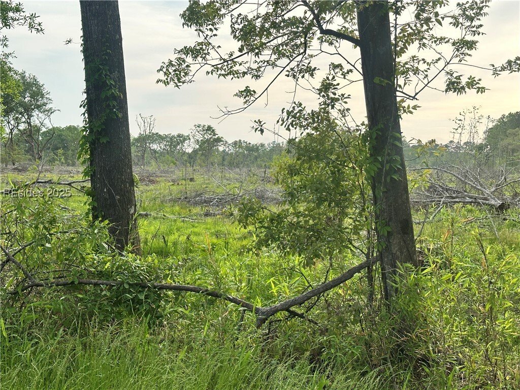 Land in Ridgeland, South Carolina, United States 3 - 15520407