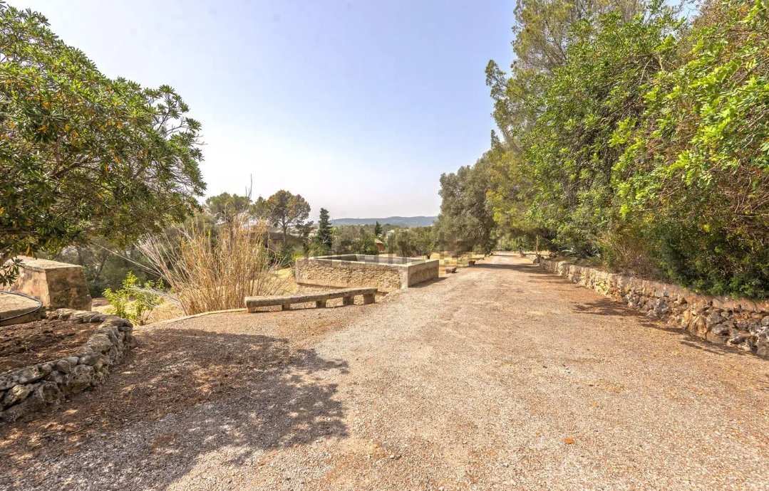 Finca in Palma, Balearic Islands, Spain 5 - 15528316