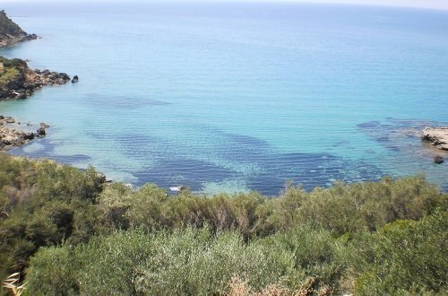 Land in Meliteieis, Peloponnese, Western Greece and the Ionian, Greece 4 - 15528440