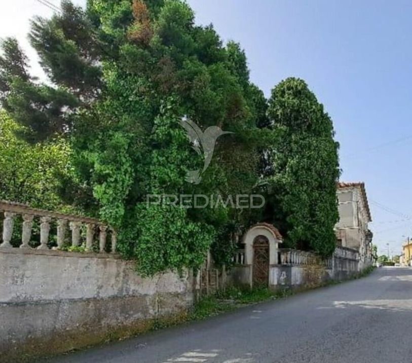 Farm Ranch in Fiaes, Aveiro District, Portugal 2 - 15528691