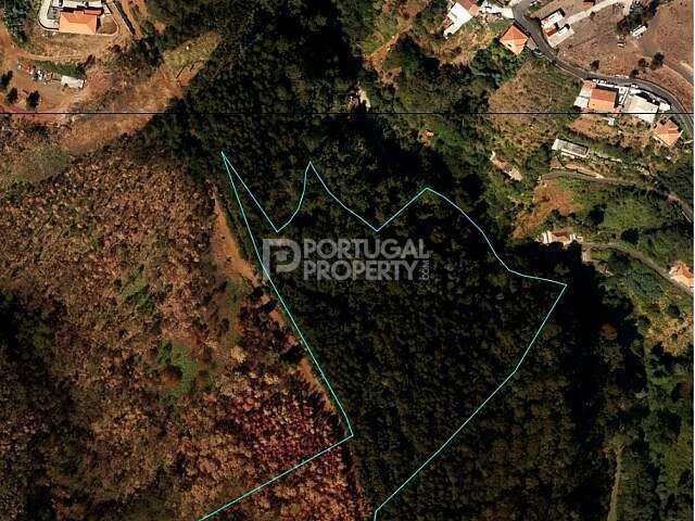 Land in Santa Cruz, Autonome Region Madeira, Portugal 1 - 15529280