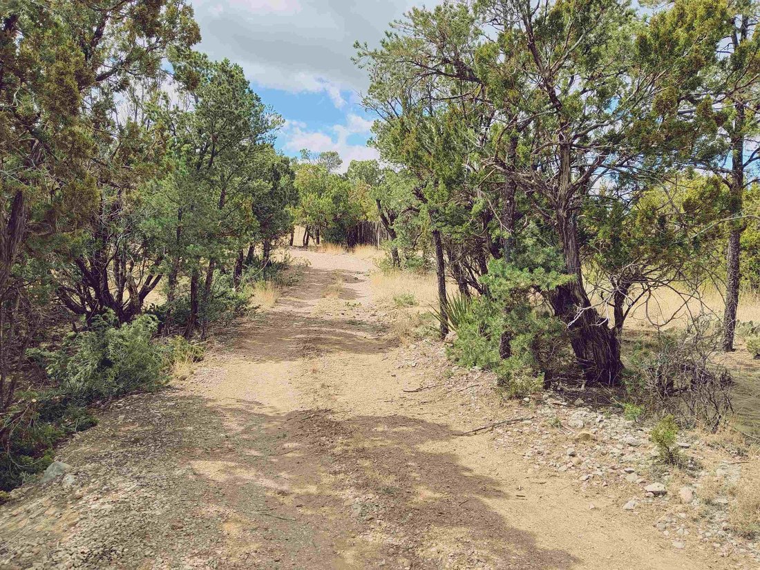 House in High Rolls, New Mexico, United States 4 - 15531038
