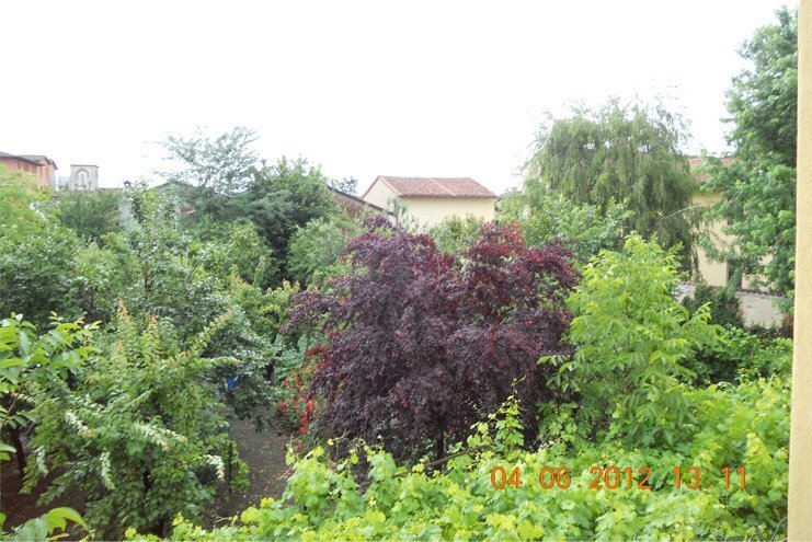 Cicognolo, Lombardy, Italy 5 - 15531651