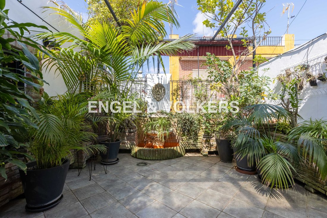 House in Casco Antiguo, Seville, Spain 1 - 15531753