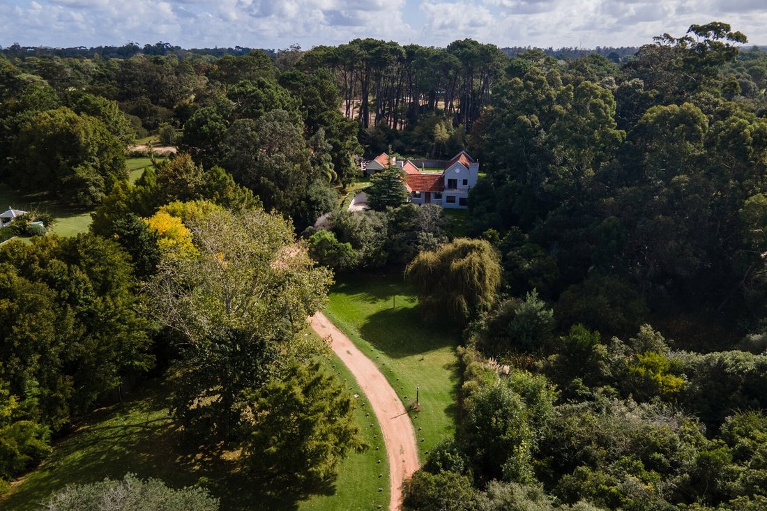House in Punta del Este, Maldonado Department, Uruguay 3 - 15530740