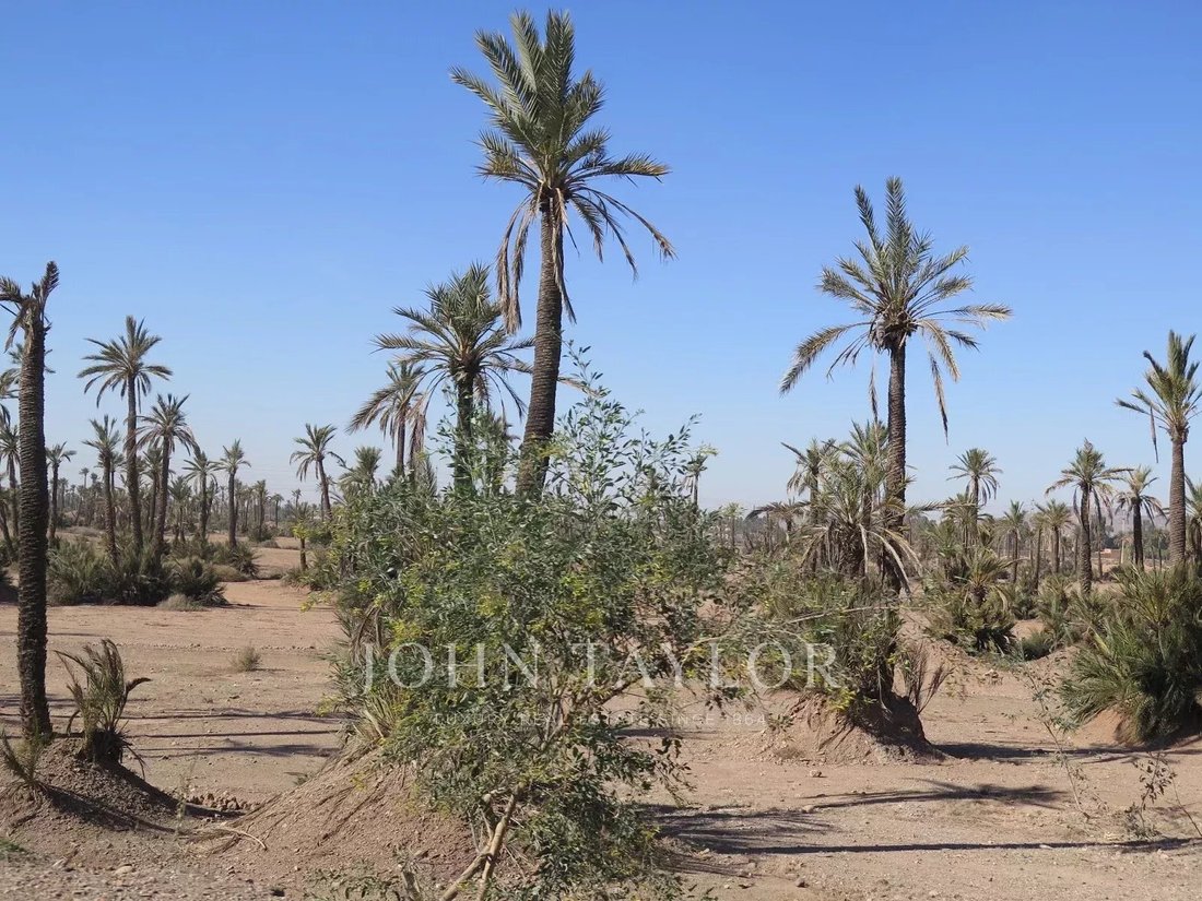 Land in Annakhil, Marrakesh-Safi, Morocco 1 - 15530678