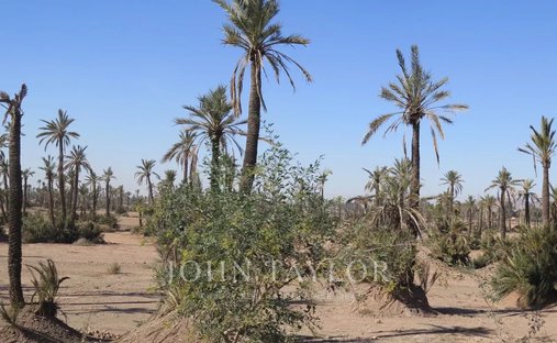 Land in Annakhil, Marrakesh-Safi, Morocco 1