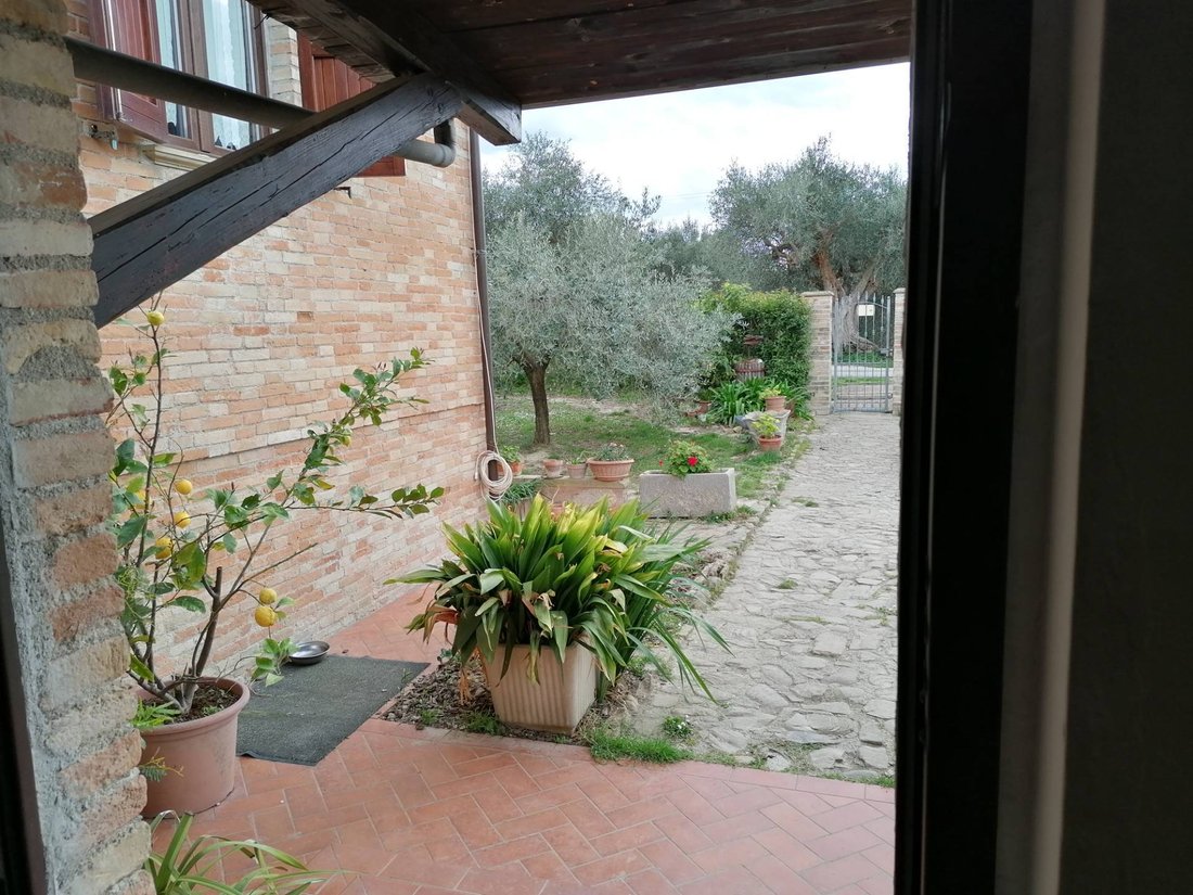 Country House in Cartoceto, Marche, Italy 4 - 15531882