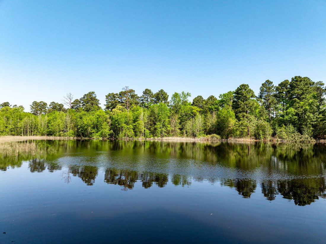 Farm Ranch in Leesburg, Texas, United States 5 - 15533476