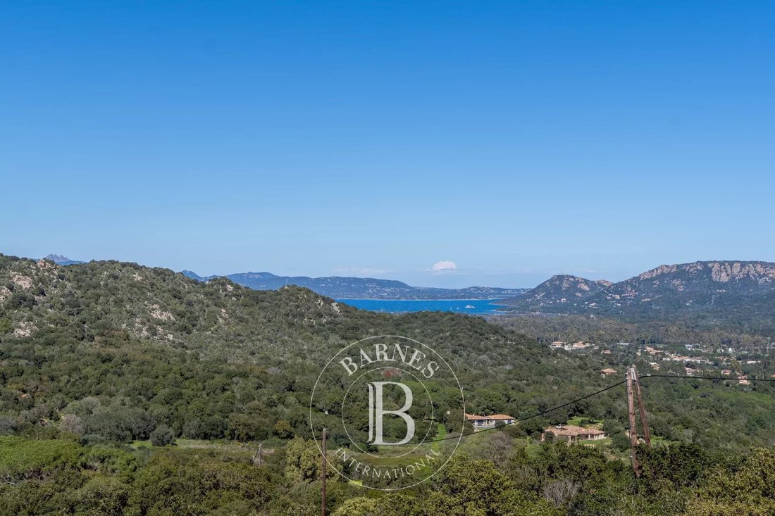 Villa in Porto-Vecchio, Corsica, France 1 - 15530694