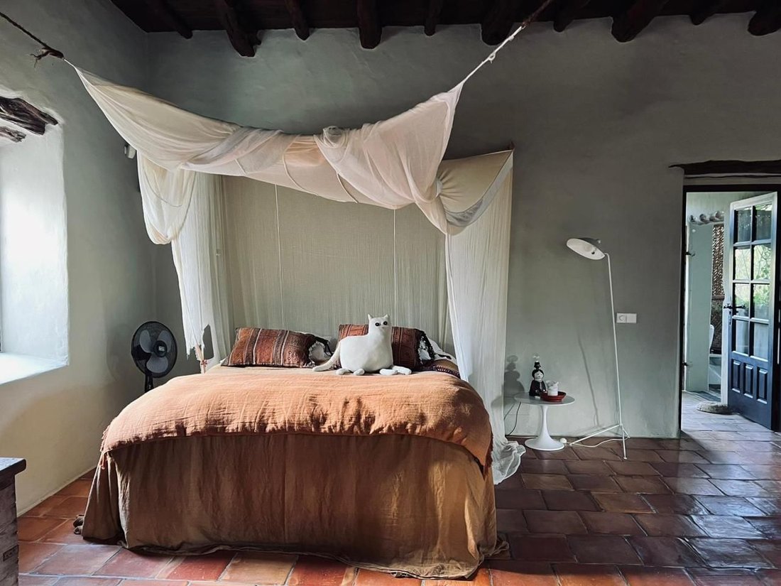 House in Sant Joan de Labritja, Balearic Islands, Spain 3 - 15531750