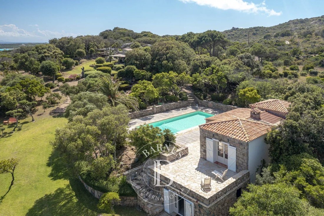 Villa in Bonifacio / Bunifaziu, Corsica, France 5 - 12952659