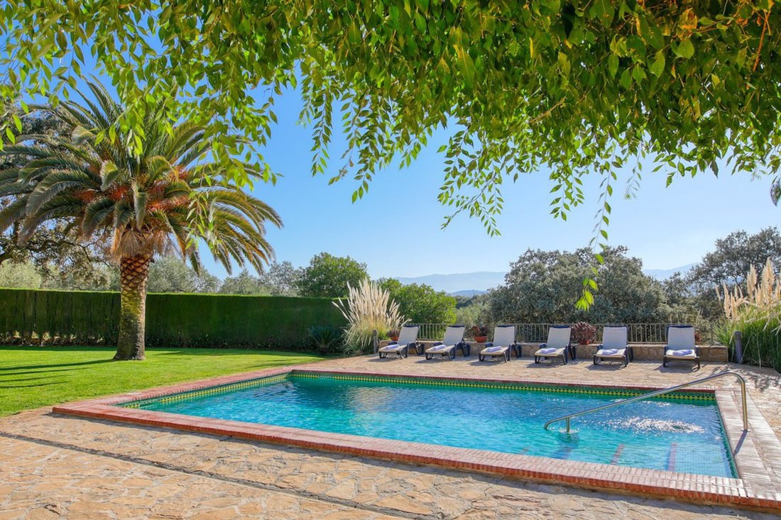 Finca in Cortes de la Frontera, Andalusia, Spain 2 - 15391063