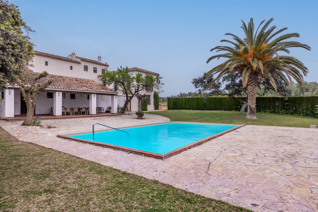 Finca in Cortes de la Frontera, Andalusia, Spain 4 - 15391063