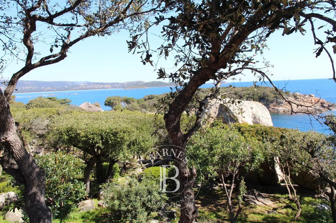 House in Lecci, Corsica, France 4 - 12952575