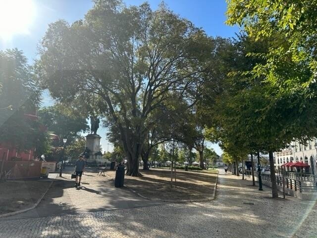 Apartment in Misericordia, Lisbon, Portugal 5 - 15533438