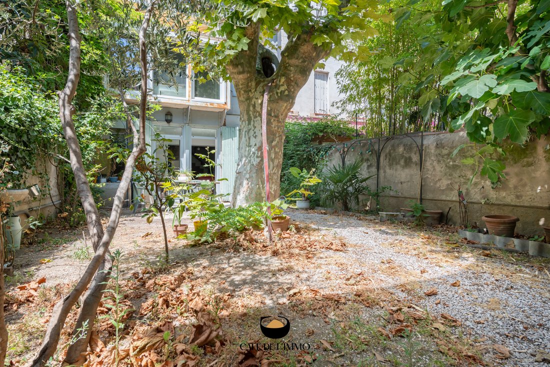 Apartment in Baille, 5e Arrondissement, Marseille 2 - 15534686
