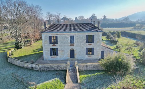 5 Min From Sainte Foy La Grande: Historic Castle Of 600m², Its Vineyard Of 85ha, Gîtes, Stable And 3
