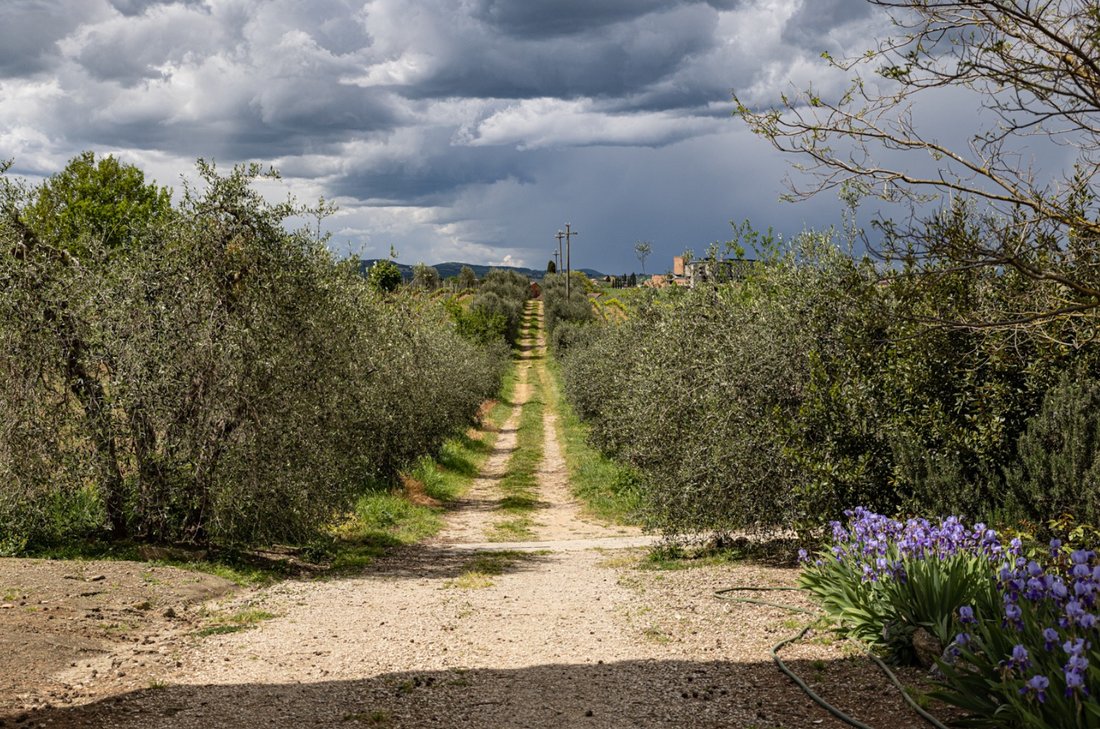 Villa en Montepulciano, Toscana, Italia 5 - 15536227