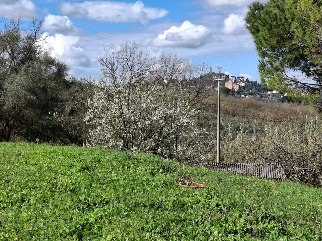 House in San Miniato, Tuscany, Italy 4 - 15538121
