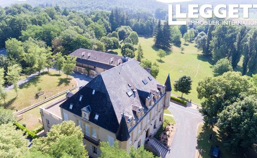 Castle in Montignac-Lascaux, Nouvelle-Aquitaine, France 1