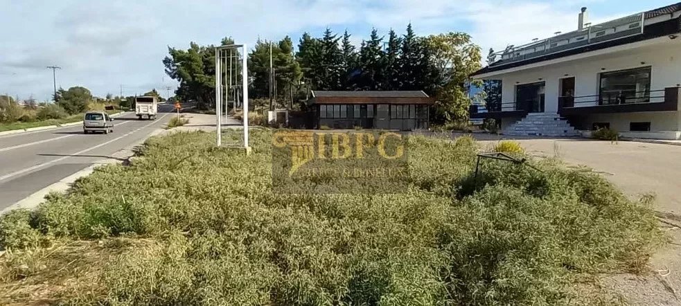 House in Oropos, Attica, Greece 4 - 15536619