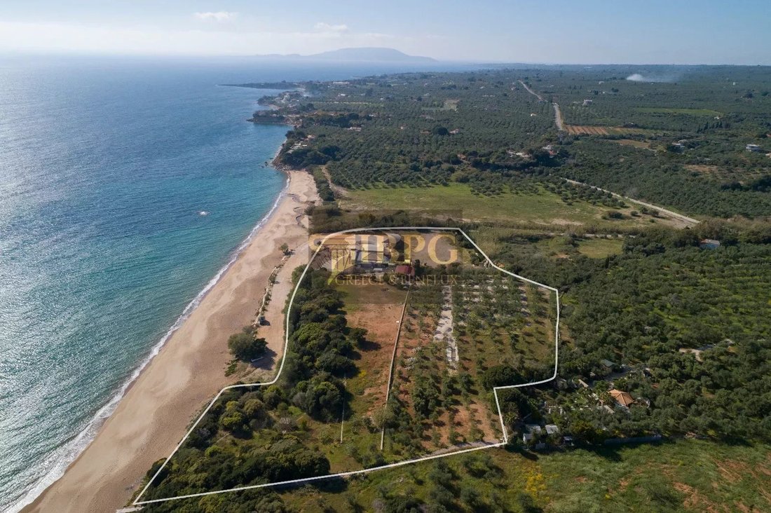 Land in Gargalianoi, Peloponnese, Western Greece and the Ionian, Greece 4 - 15536617