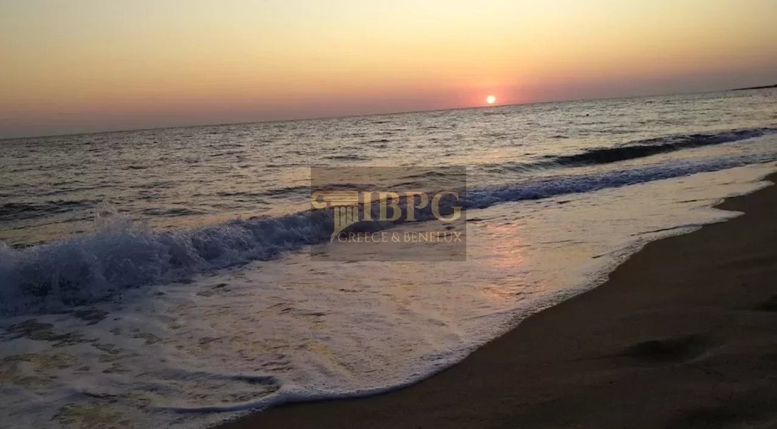 Land in Gargalianoi, Peloponnese, Western Greece and the Ionian, Greece 2 - 15536617
