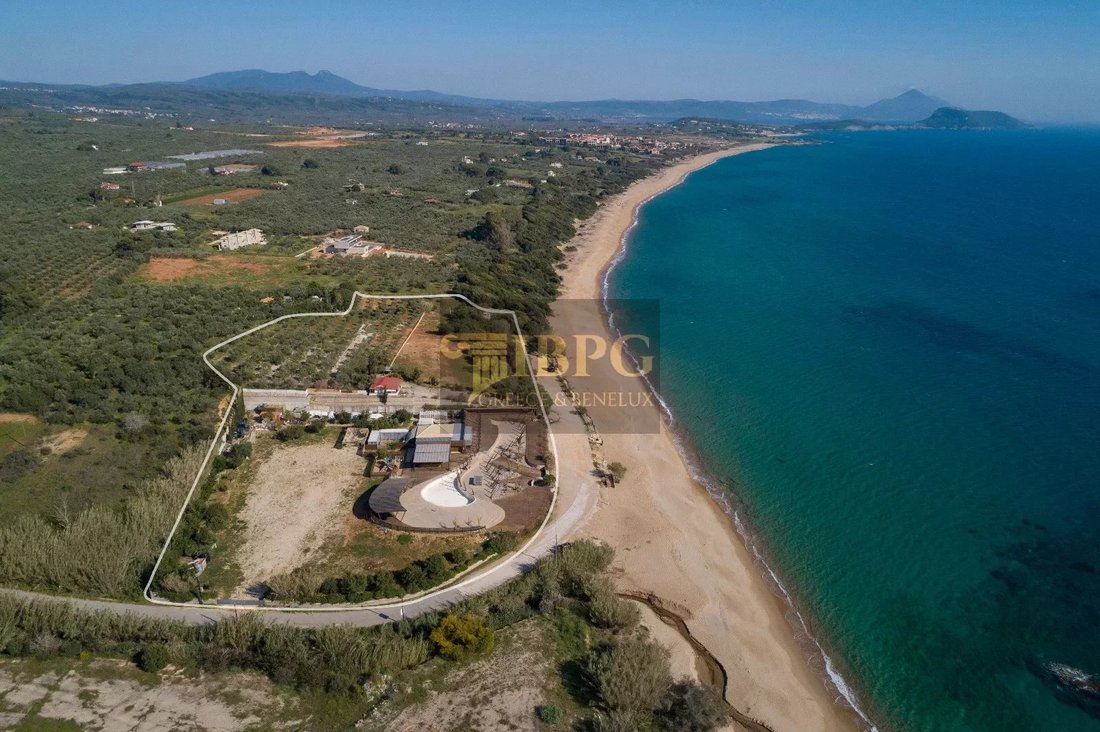 Land in Gargalianoi, Peloponnese, Western Greece and the Ionian, Greece 5 - 15536617