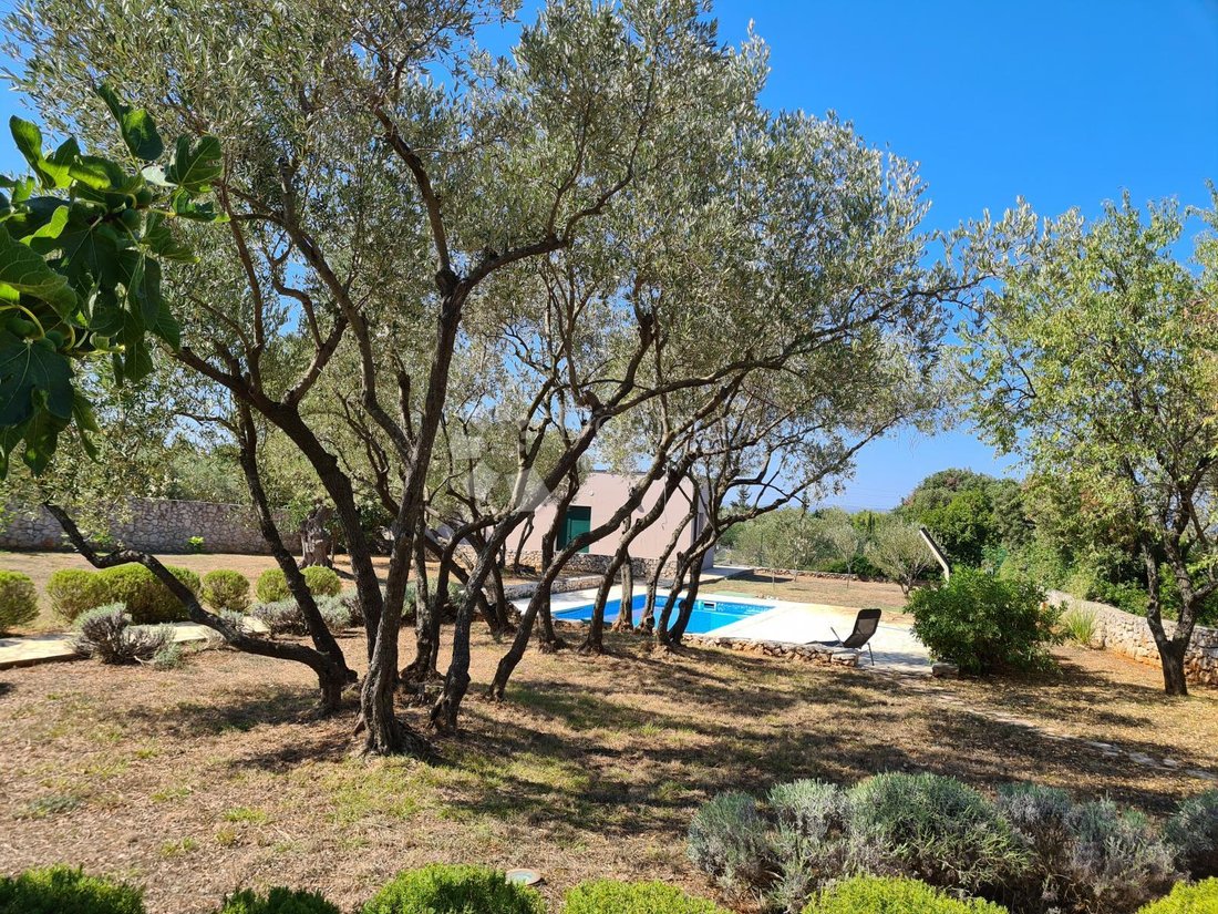 House in Ugljan, Zadar County, Croatia 4 - 15538578