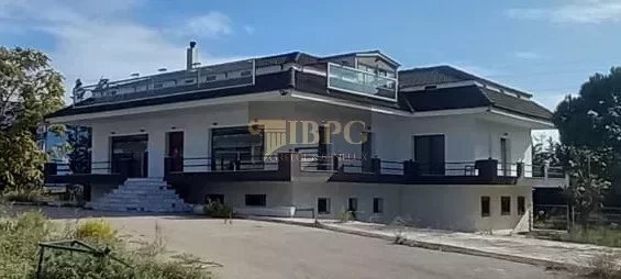 House in Oropos, Attica, Greece 2 - 15536619