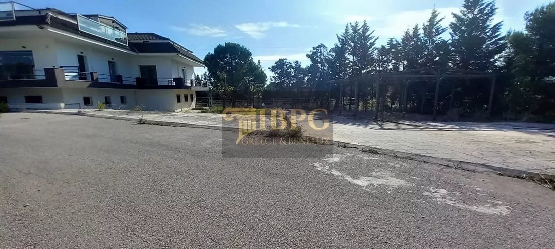 House in Oropos, Attica, Greece 3 - 15536619
