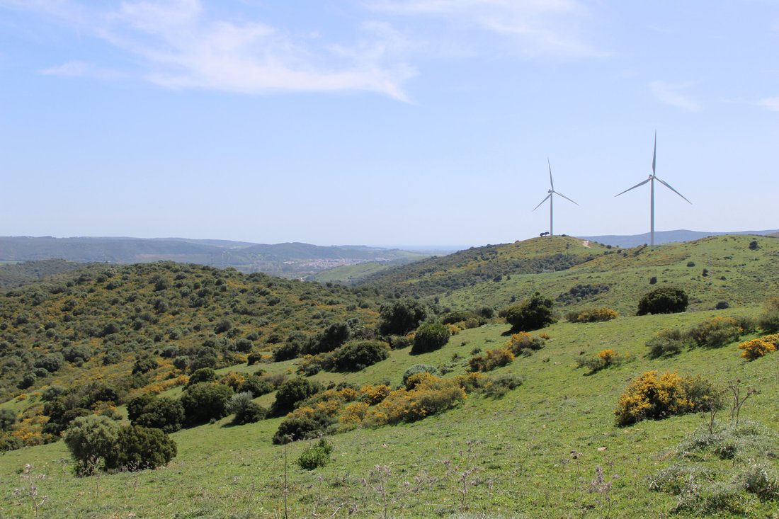 Land in San Martin del Tesorillo, Andalusia, Spain 1 - 15539531