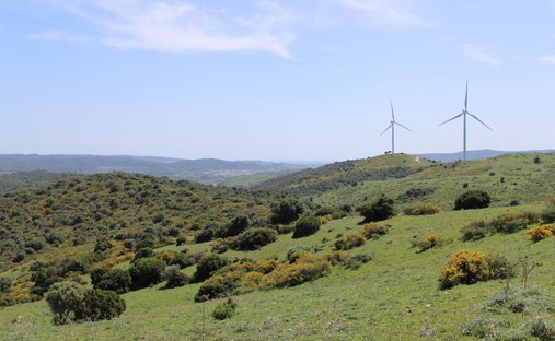 Land in San Martin del Tesorillo, Andalusia, Spain 1