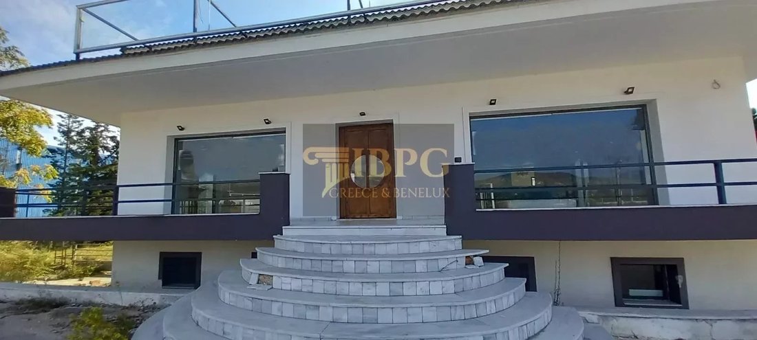 House in Oropos, Attica, Greece 1 - 15536619