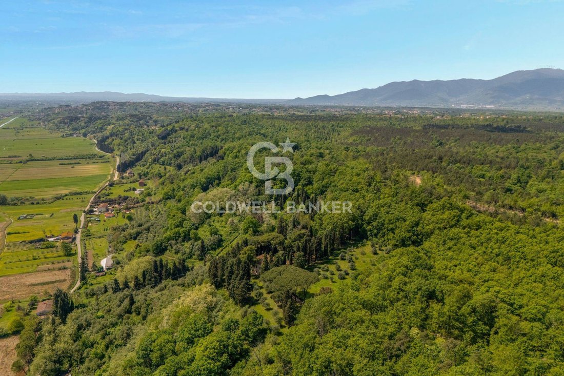 Villa in Castelfranco di Sotto, Tuscany, Italy 5 - 14998855