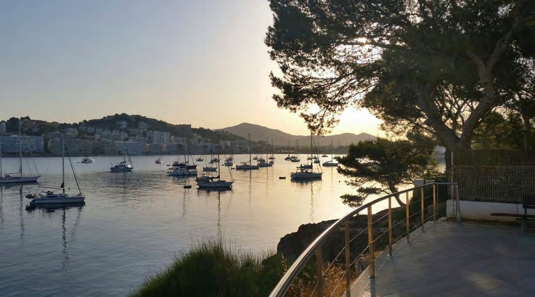Apartment in Rotes Velles, Calvia, Balearic Islands 5 - 15536899