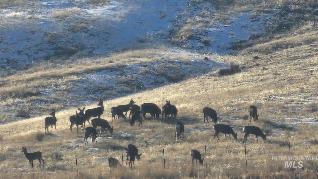 Land in Homedale, Idaho, United States 2 - 14632320