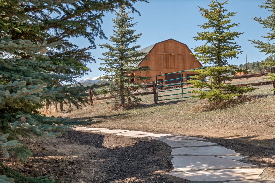 House in Bailey, Colorado, United States 4 - 15536793
