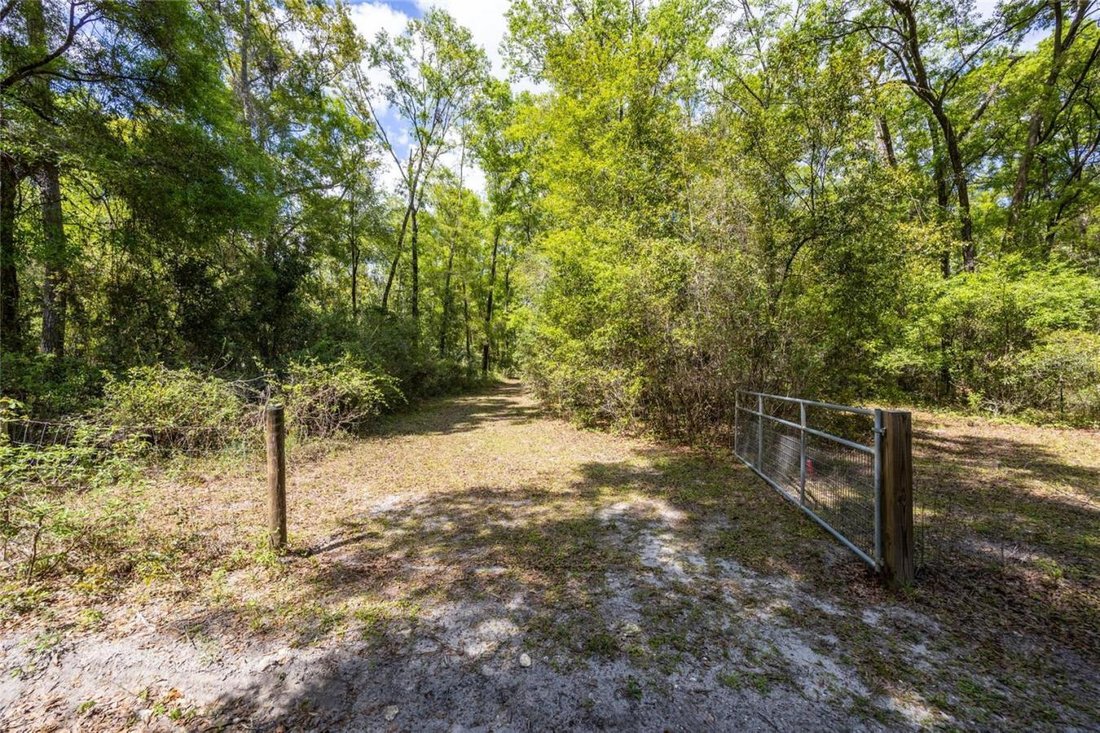 House in Gainesville, Florida, United States 1 - 15538254