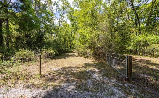 House in Gainesville, Florida, United States 1