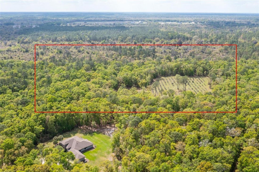 House in Gainesville, Florida, United States 2 - 15538254