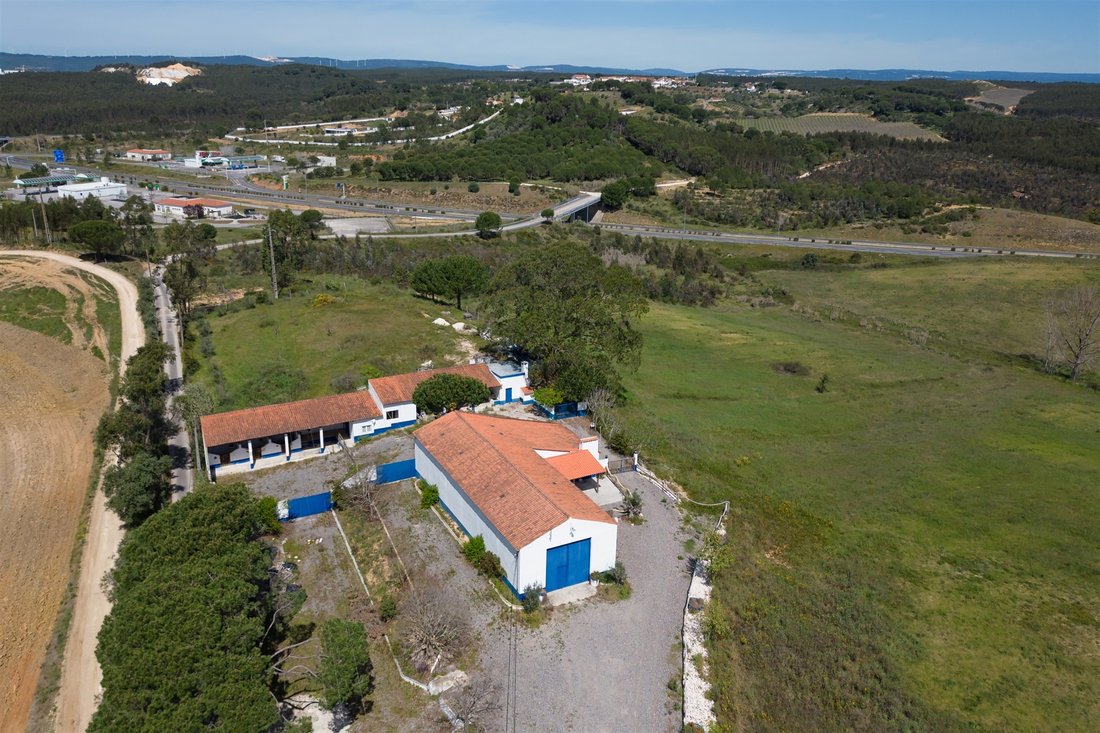 Farm Ranch in Sao Joao da Ribeira e Ribeira de Sao Joao, Santarem District, Portugal 3 - 12724579