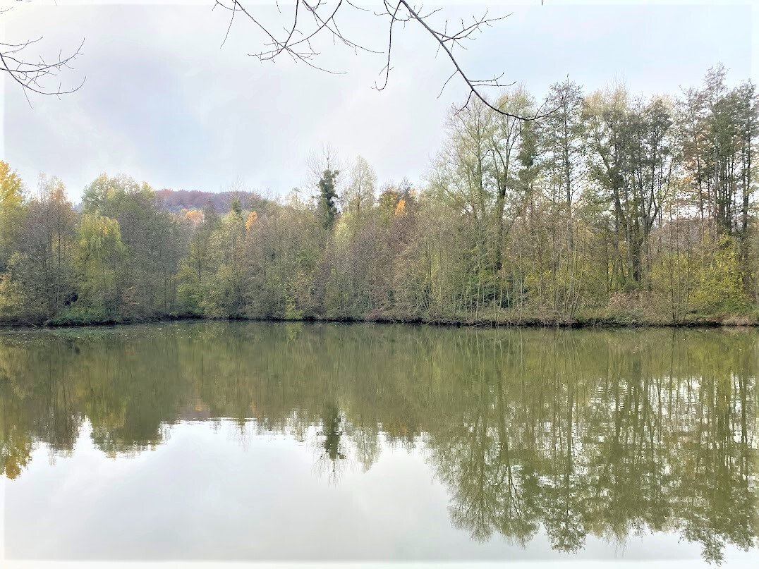 Land in Laon, Hauts-de-France, France 5 - 14905621