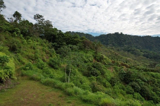 Land in Savegre de Aguirre, Puntarenas Province, Costa Rica 2 - 15546289