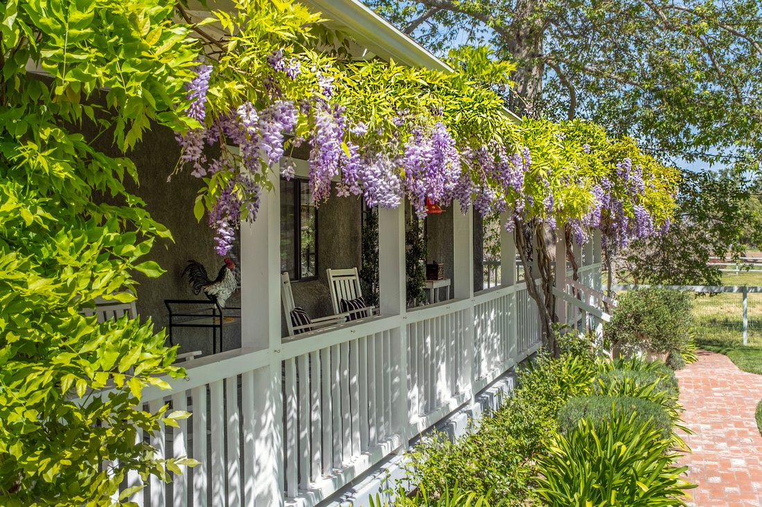 House in Santa Ynez, California, United States 4 - 15542932